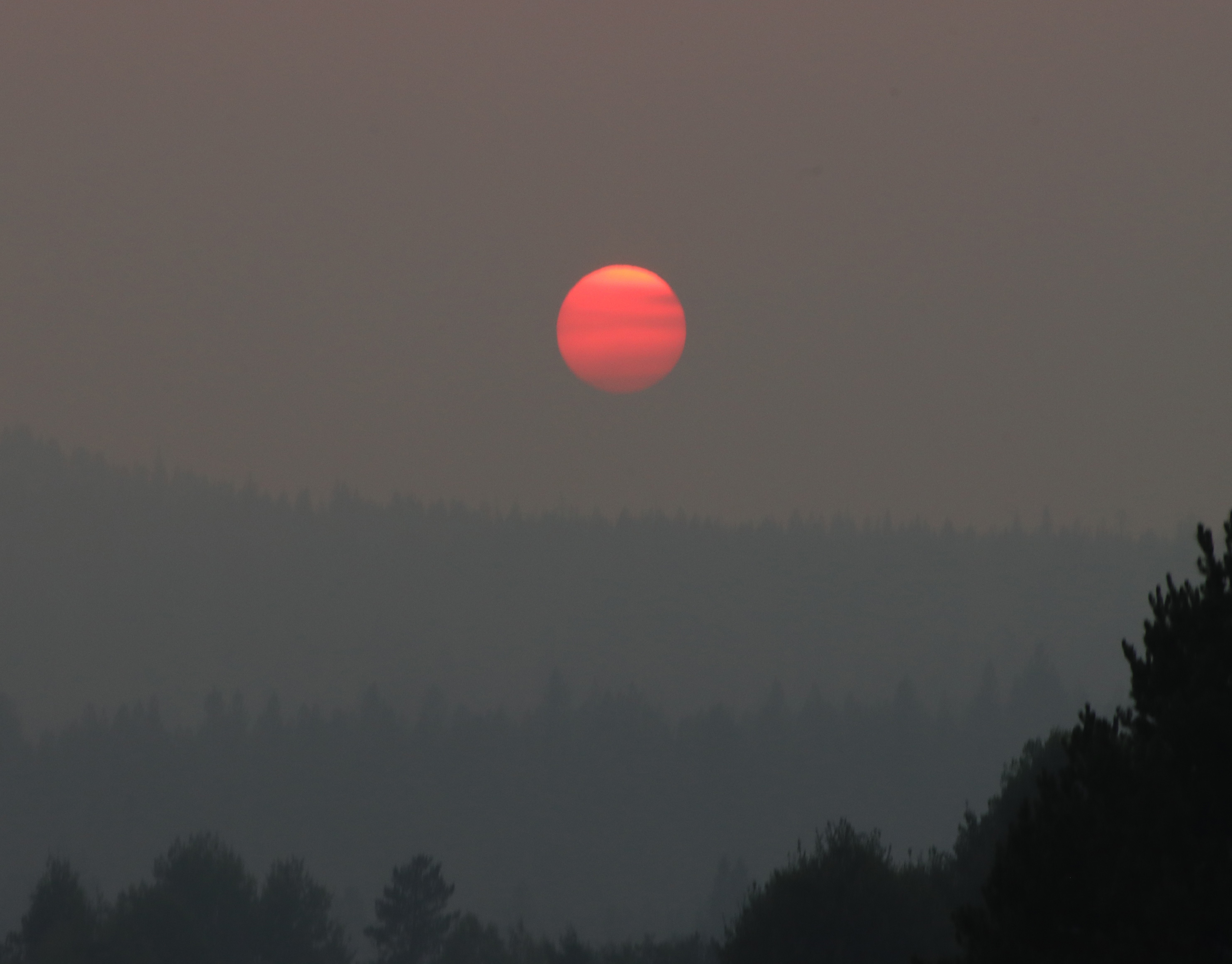 Blood Red Sun and Smoky Atmosphere | Photographed on Canon EOS 90D